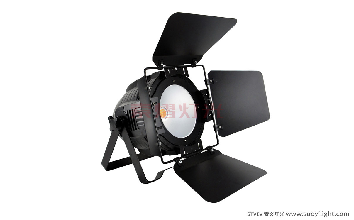 Singapore-City200W COB LED Par Light