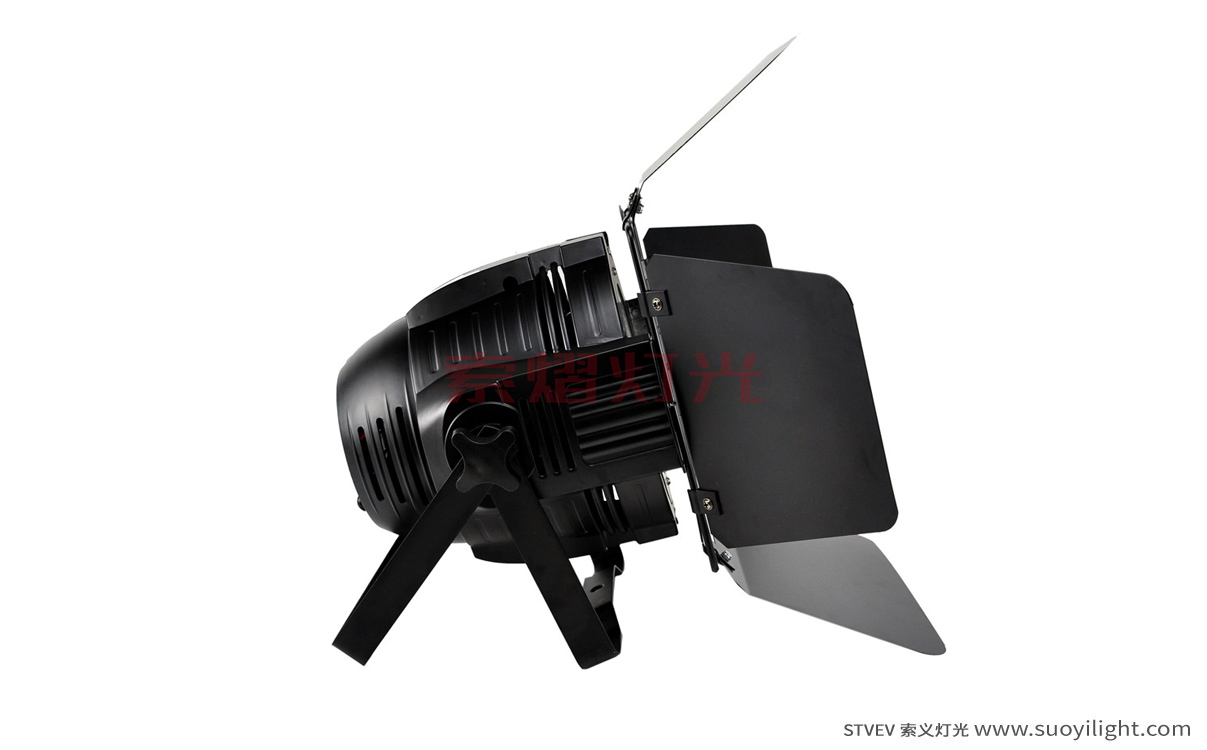 Singapore-City200W COB LED Par Light