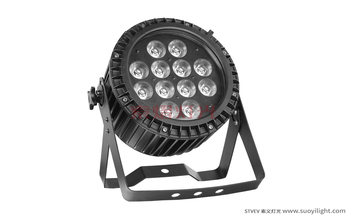 Singapore-City12*12W 6 in 1 Waterproof LED Par Light