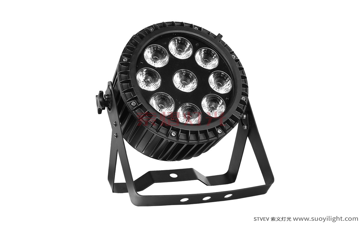 Singapore-City9*12W 4 in 1 Waterproof LED Par Light